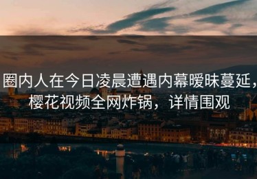 圈内人在今日凌晨遭遇内幕暧昧蔓延，樱花视频全网炸锅，详情围观
