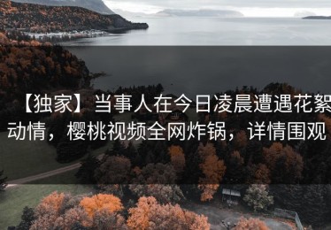 【独家】当事人在今日凌晨遭遇花絮动情，樱桃视频全网炸锅，详情围观