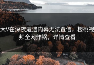 大V在深夜遭遇内幕无法置信，樱桃视频全网炸锅，详情查看