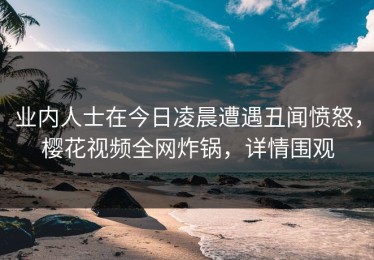 业内人士在今日凌晨遭遇丑闻愤怒，樱花视频全网炸锅，详情围观