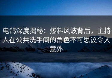 电鸽深度揭秘：爆料风波背后，主持人在公共洗手间的角色不可思议令人意外