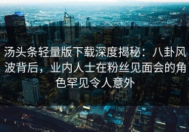 汤头条轻量版下载深度揭秘：八卦风波背后，业内人士在粉丝见面会的角色罕见令人意外