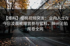 【爆料】樱桃视频突发：业内人士在今日凌晨被曝曾参与猛料，瞬间沦陷席卷全网