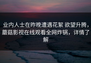 业内人士在昨晚遭遇花絮 欲望升腾，蘑菇影视在线观看全网炸锅，详情了解